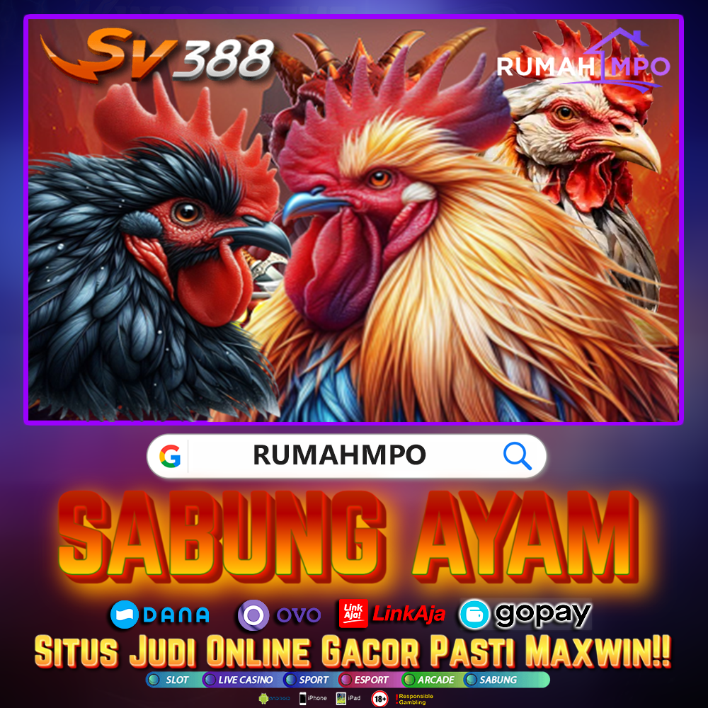Sabung Ayam Dana: Bo Resmi Rumahmpo Slot Terpercaya 2025